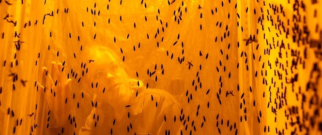 Volare secures �26m funding to transform insect protein production in Europe