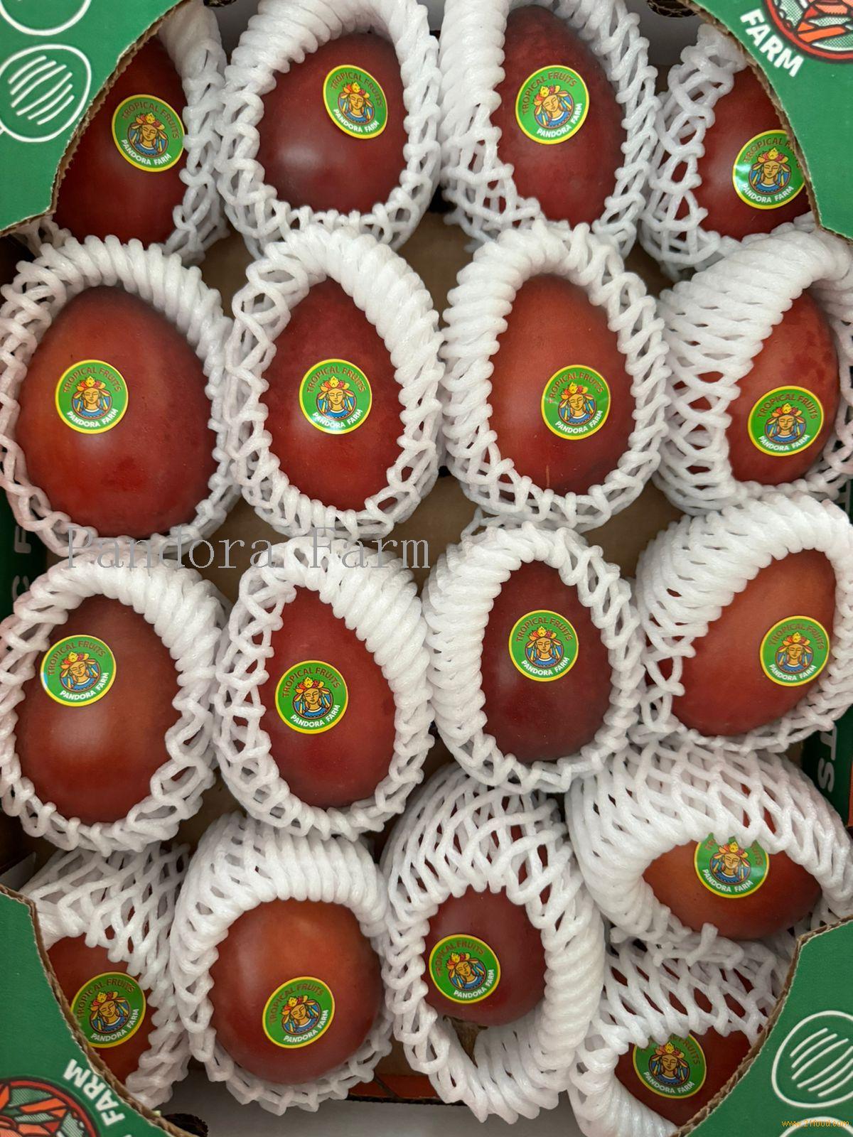 Tree tomato (tamarillo)