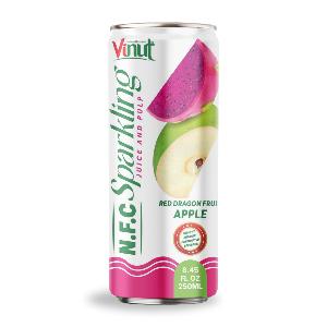 250ml VINUT NFC Sparkling Red Dragon Fruit & Apple juice with Pulp Wholesale Manufacturer OEM ODM