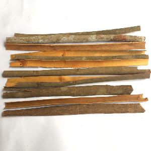 Split Cassia High Quality From Vietnam Factory