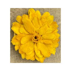 Dried Mango High Quality Vietnam Origin