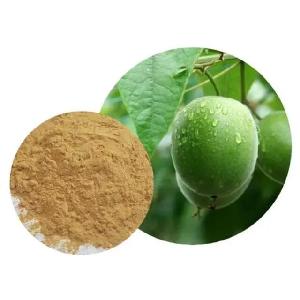 Natural Monk Fruit Extract Mogroside