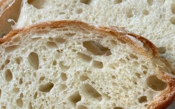 IGDI enters strategic partnership with Ginkgo Bioworks to optimise sourdough strains