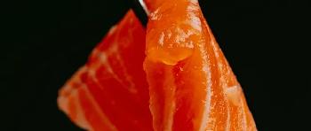 JBS injects AUD 110m to expand salmon production in Australia