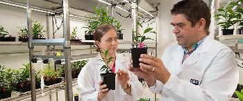 New AUD 41m initiative to enhance Australian fruit and nut production