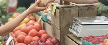New alliance to develop and test standards for the environmental scoring of food