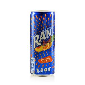 Rani Juice Orange Fruit Float Drink 240ml pack of 24