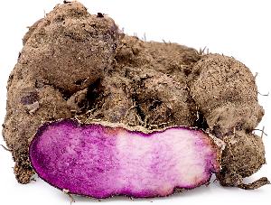  FROZEN   YAM S
