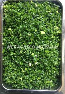 FROZRN GREEN ONION