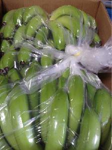 Green Fresh Cavendish Banana