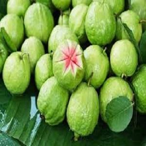  Frozen   Guava 