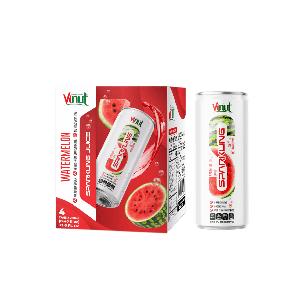 12 fl oz VINUT Sparkling melon Juice (Pack of 4)