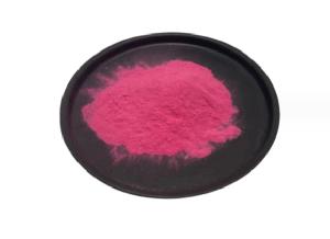 Plant extract Fruit powder dragon fruit powder