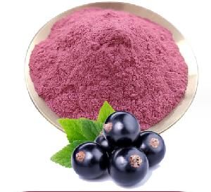 Plant extract Fruit powder  black   currant   anthocyanin 