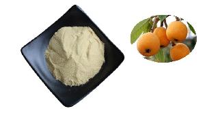 Plant extract Fruit powder Loquat fruit powder