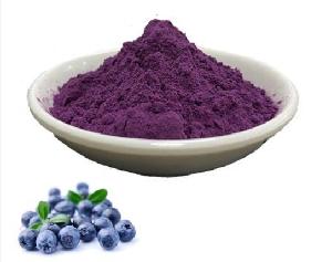 EP and USP standard Cranberry/Bilberry/Blueberry extract anthocyanin