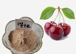 Fruit powder Acerola cherry freeze-dried powder