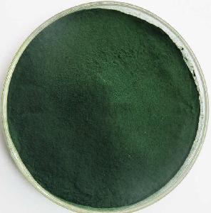 Spirulina Powder for Abalone Shrimp