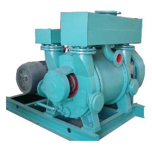 2be1 306-1 Liquid Ring Vacuum Pump
