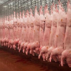 Pork