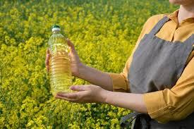 Canola Oil