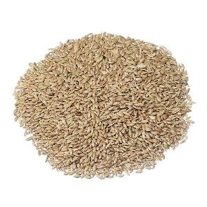 Canary Seeds