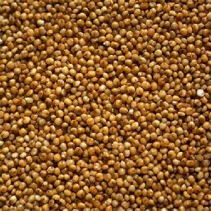 Millet