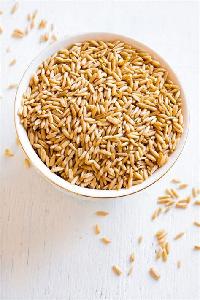 Oat Grains