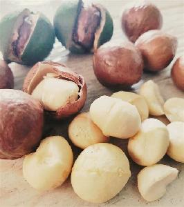 Macadamias
