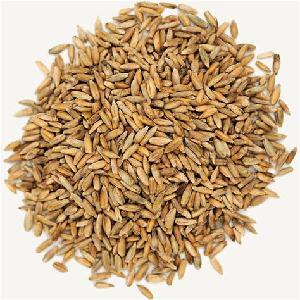 Rye