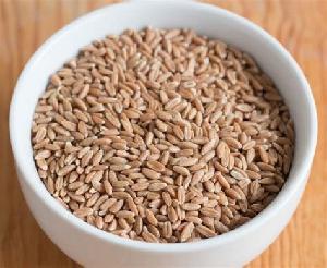 Spelt