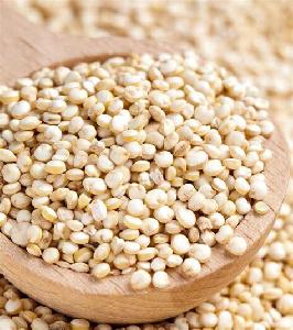 Quinoa