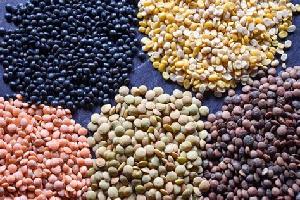 Lentils