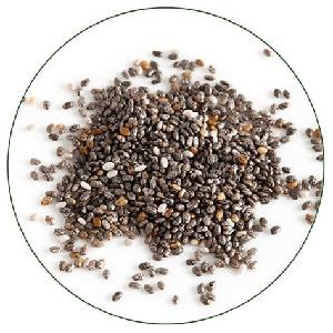 Chia Seeds