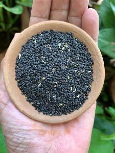 Basil seeds
