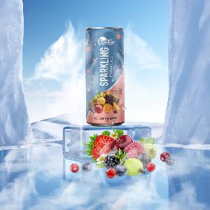 SPARKLING FRUIT JUICE