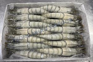 FROZEN RAW HOSO SHRIMP