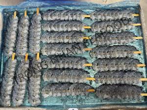 FROZEN SKEWER  RAW   SHRIMP 