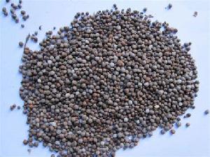 Perilla Seeds