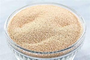 Dry Yeast