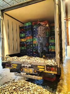 Steam Dried Fish Meal 55% - Vietnam 447549 837432