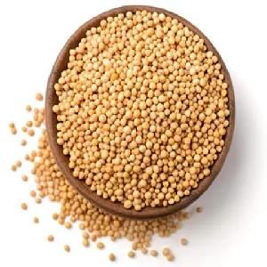 High Quality Kitchen Seasonings Mustard Seeds