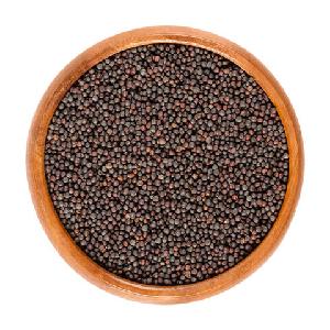 99.99% Purity RapeSeeds / Canola Seeds/non-gmo Rapeseed Canola Seeds