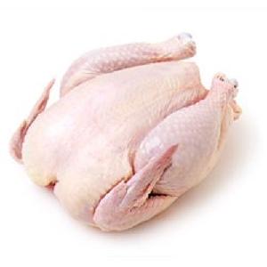 Best Sale Frozen Chicken / Paws / Wholesale Price Frozen Chicken Feet / Frozen Whole Chicken