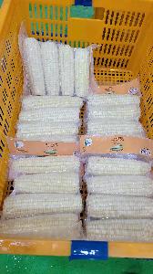 Frozen Waxy-Corn steamed without Husk 4-5 pcs/PA bag