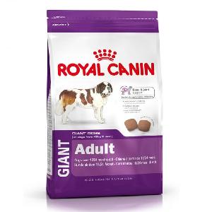 High Quality Royal Canin Dry Food Acana Duck Pear Treats Dogs 25 Lbs Best Selling Pedigre Pet Fo