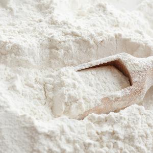 Whole Wheat bread Flour/ All Purpose Flour Wholesale Price Supplier