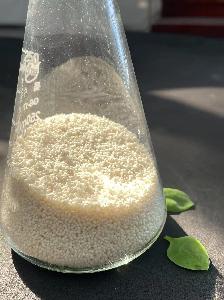 Rumen-protected Choline Chloride 25% for livestock and poultry,aquaculture,dairy cow,beef cattle