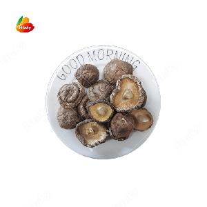 Bulk Dried shiitake mushroom Dehydrate mushroom