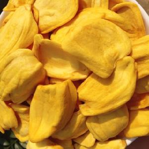 Wholesale Export Dehydrated Jackfruit Chips 2025 Organic GMO-free Crispy Healthy Snack OEM Good Pric